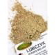 Lubczyk korzeń
