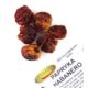 Papryka habanero