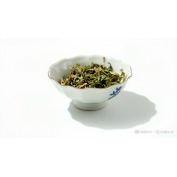 Oregano