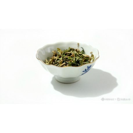Oregano