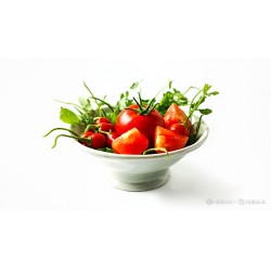 Pomidor z chilli i oregano duży