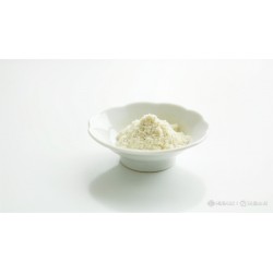 Sól kłodawska kamienna, nie jodowana 1kg